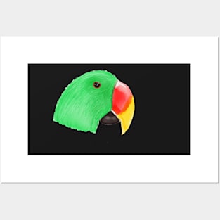 Parrot Posters and Art